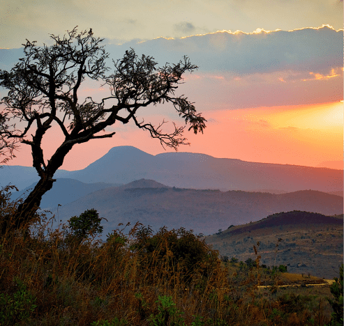 Africa