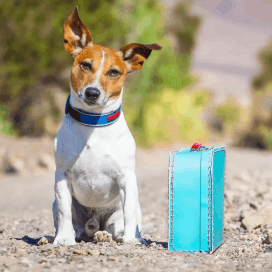 Year-Round Travel Flexibility