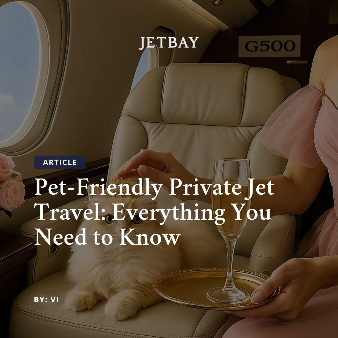 Pet-Friendly Private Jet Travel: Everything You Need to Know