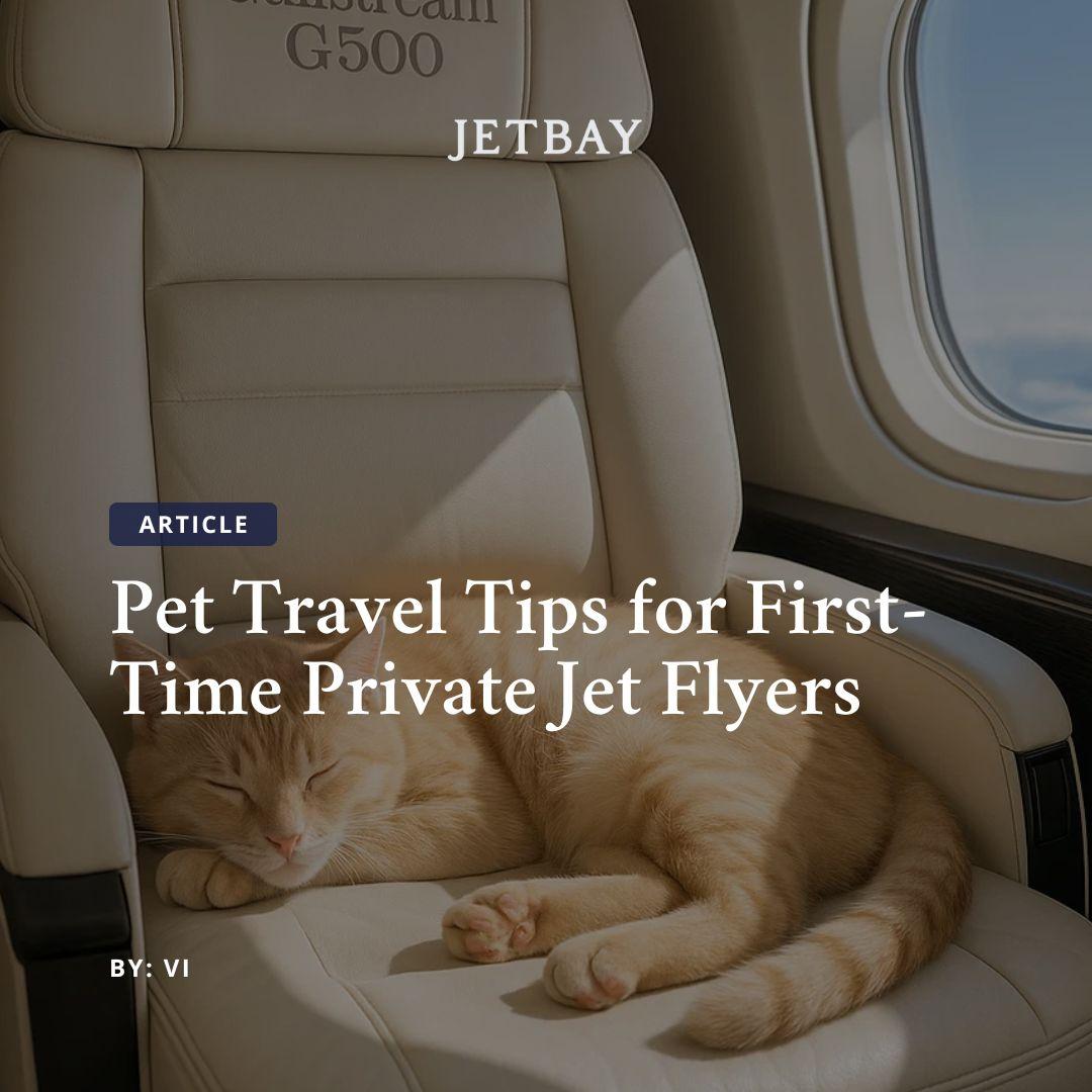 Pet Travel Tips for First-Time Private Jet Flyers
