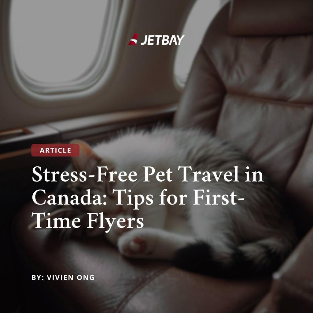 Stress-Free Pet Travel in Canada: Tips for First-Time Flyers