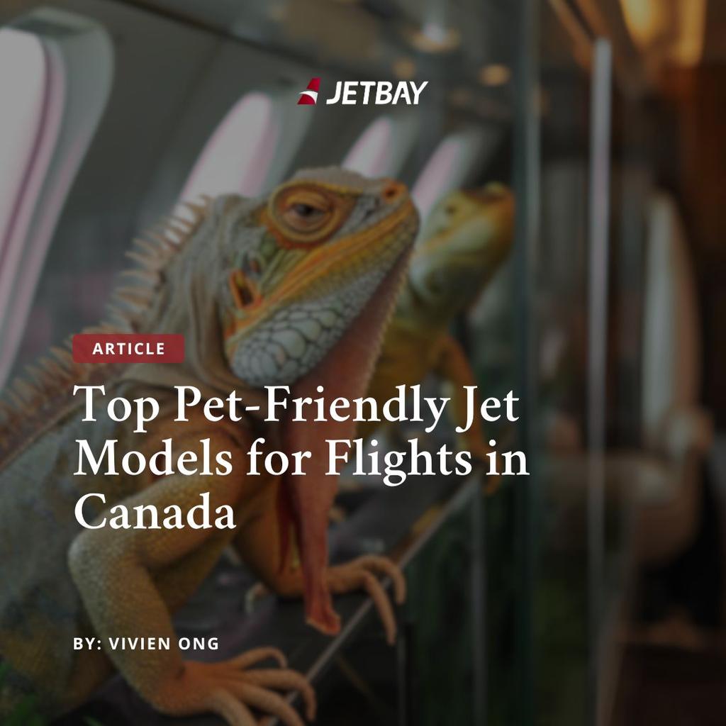 Top Pet-Friendly Jet Models for Flights in Canada
