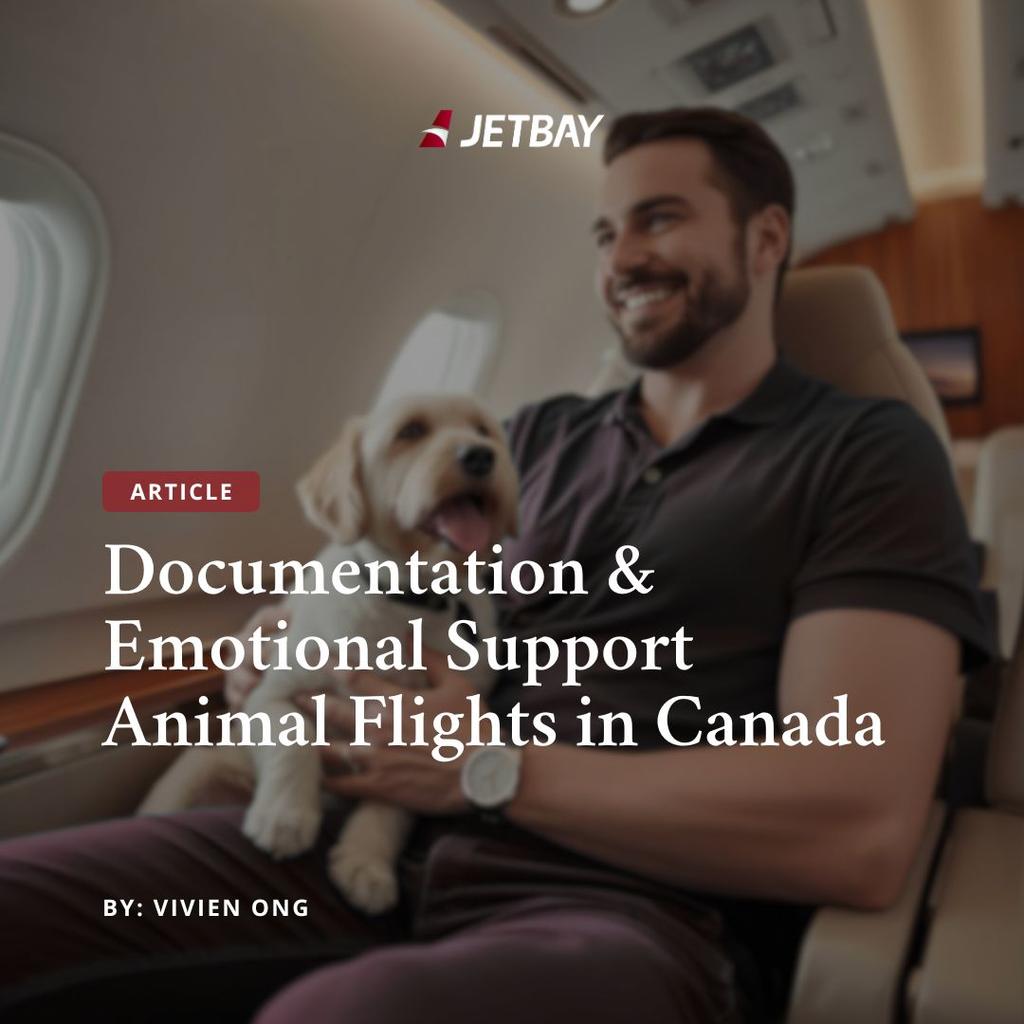 Documentation & Emotional Support Animal Flights in Canada