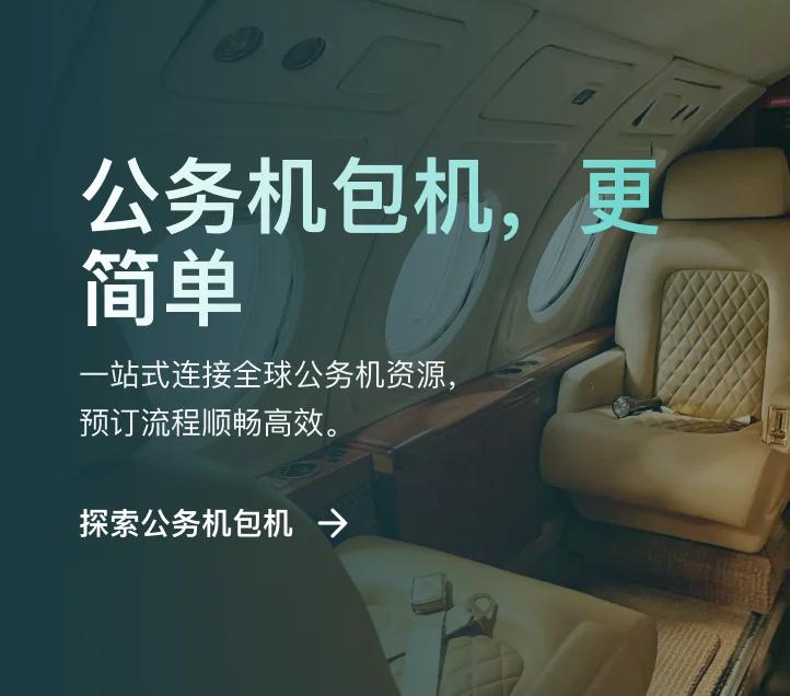 奢华私人飞机客舱内饰，配备真皮座椅和抛光木质装饰