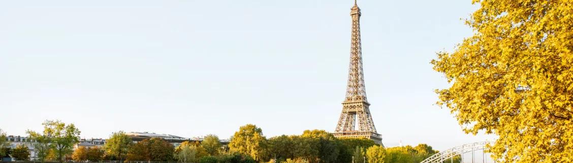Eiffel Tower rising above golden autumn trees in Paris, showcasing the iconic landmark destination