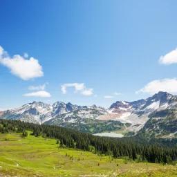 Snow-capped mountain peaks rising above green alpine meadows and dense forest under blue sky