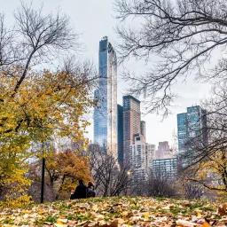 Central Park autumn foliage with Manhattan skyscrapers and modern towers in background, New York City