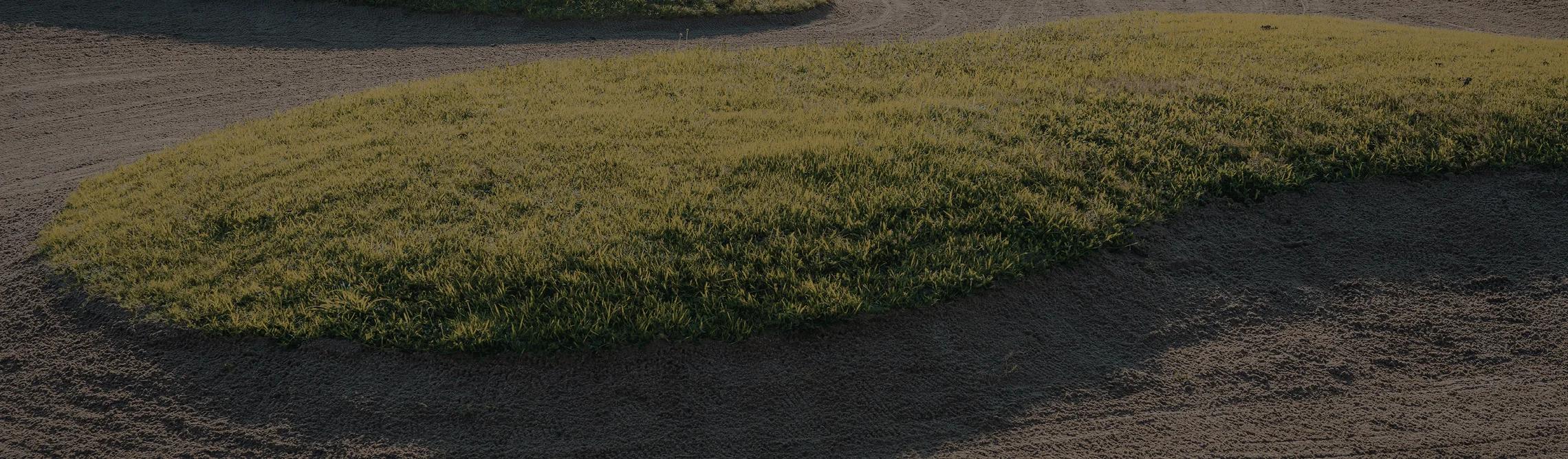 Pristine fairway at Bandon Dunes Golf Resort showcasing championship course conditions for luxury golf travel