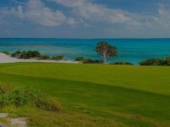 Pristine oceanfront golf course in Palm Beach with emerald fairways overlooking turquoise waters