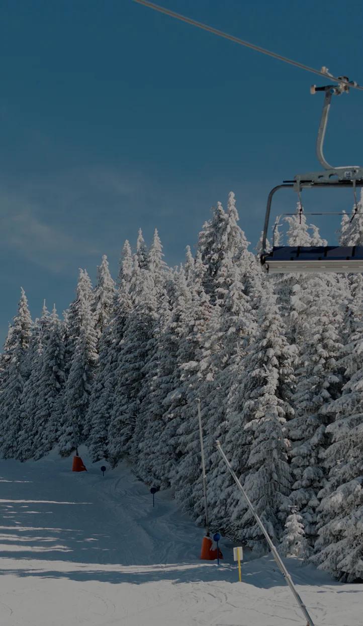 帕克城豪华滑雪度假村雪道穿越雪松林