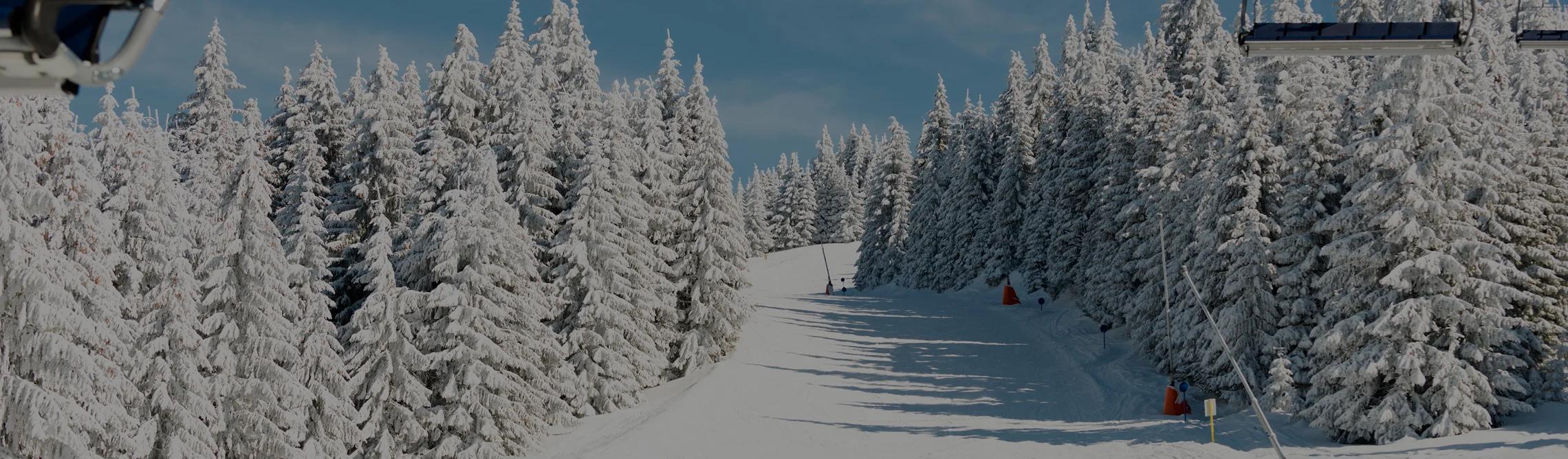 帕克城豪华滑雪度假村雪道穿越雪松林