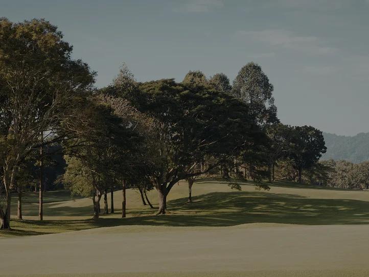Pristine Pinehurst golf course with rolling fairways, mature trees, and mountain backdrop for luxury travel