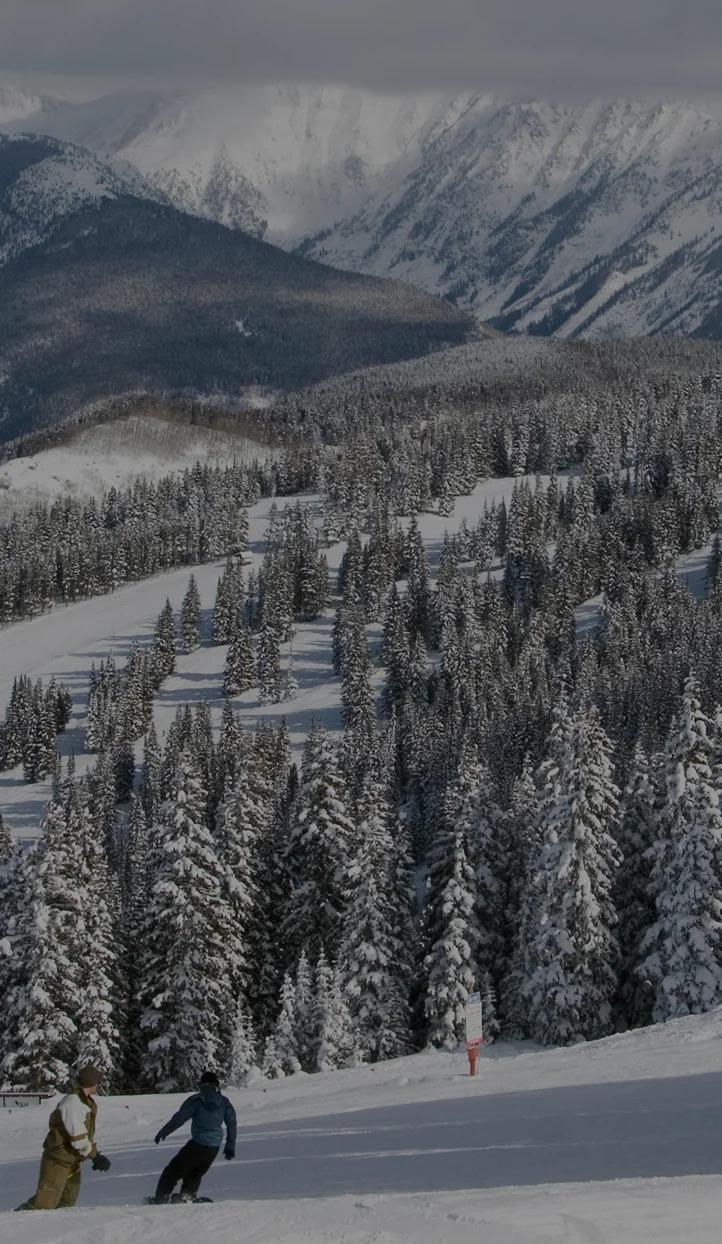 韦尔滑雪度假村的滑雪者在雪松林间滑行