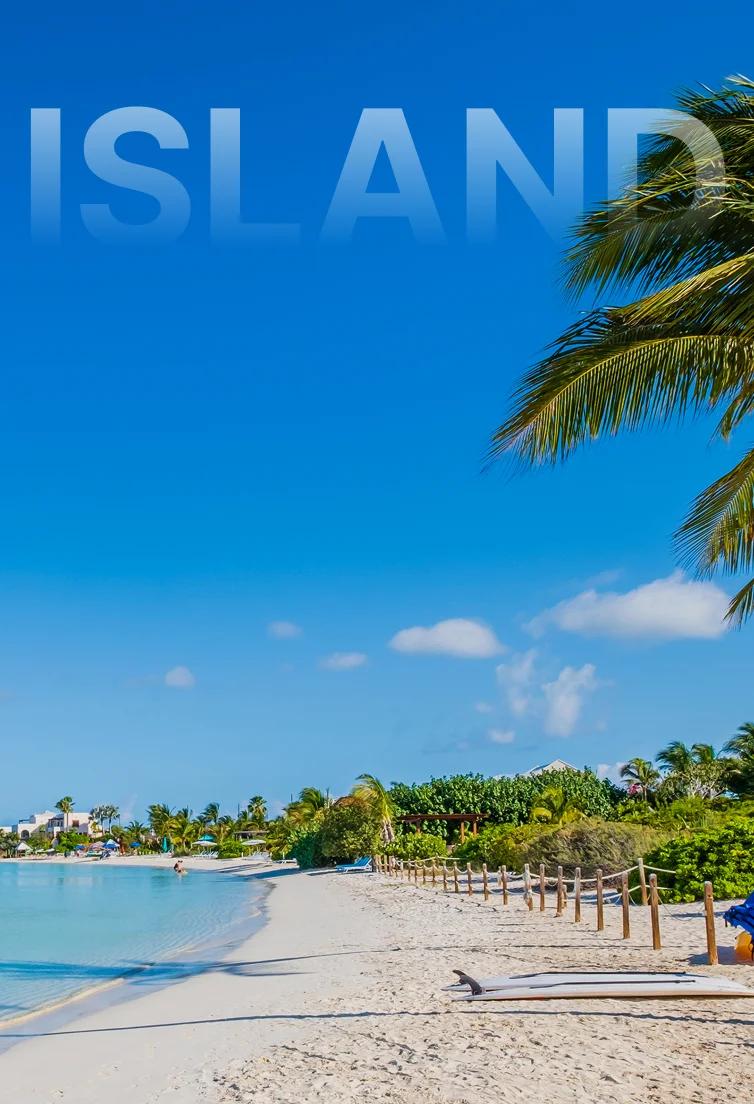 Pristine white sand beach with swaying palm trees and turquoise waters under blue skies in Providenciales