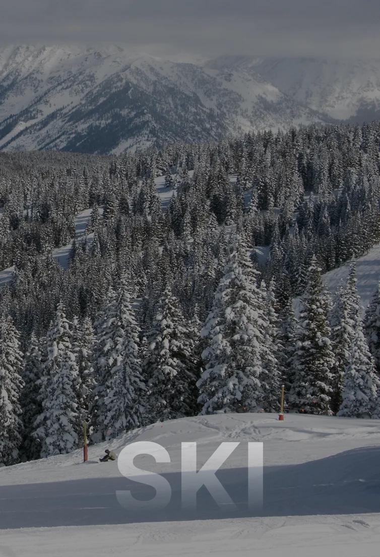 Two skiers descending pristine powder slopes surrounded by snow-covered evergreen forests in Vail