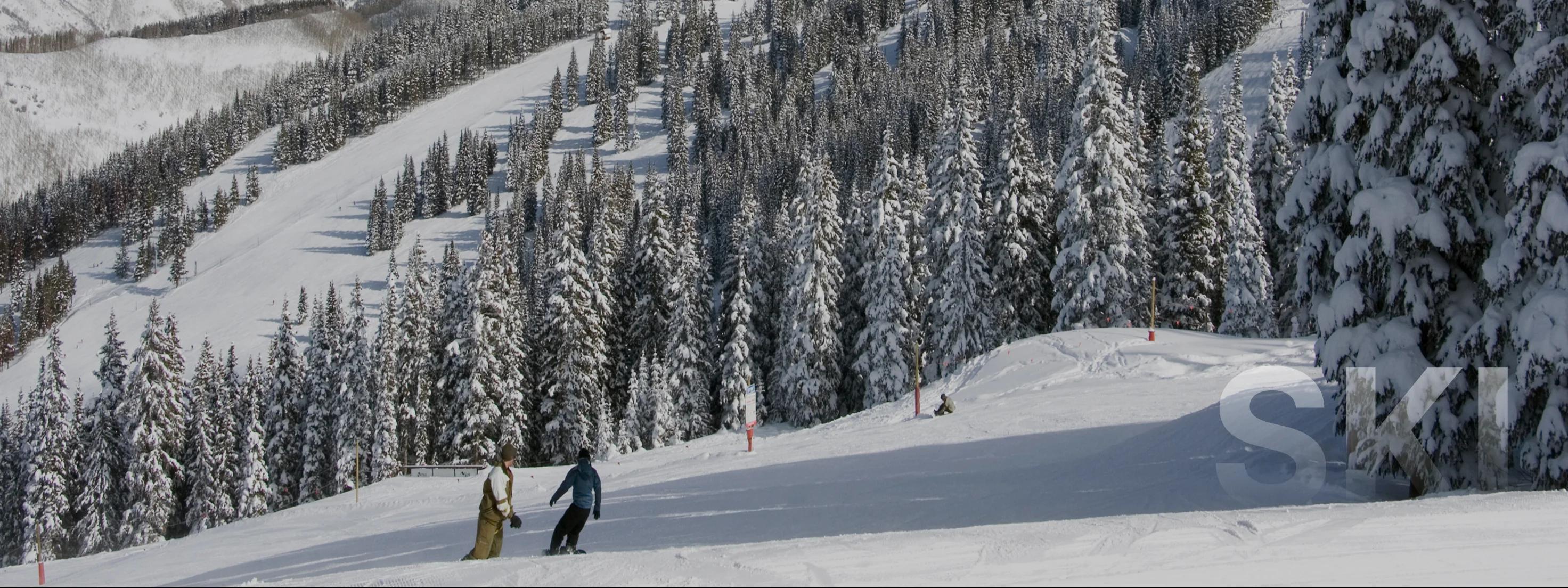 Two skiers descending pristine powder slopes surrounded by snow-covered evergreen forests in Vail