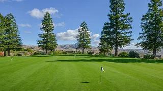 Pristine golf green with flagstick surrounded by tall pine trees under blue sky at luxury resort
