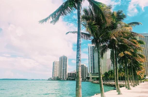 New York to Miami route list image