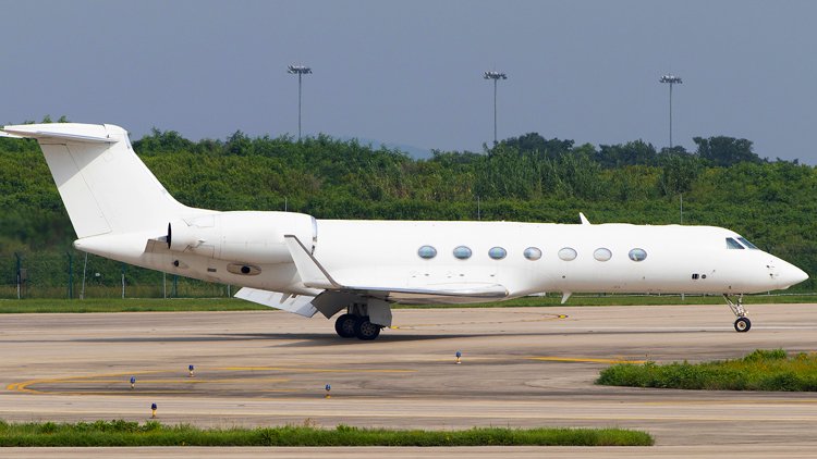 emptyLeg