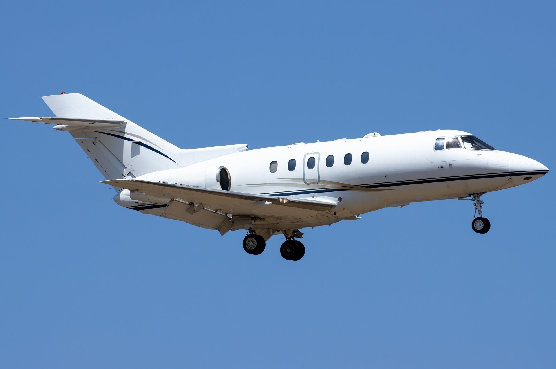 emptyLeg
