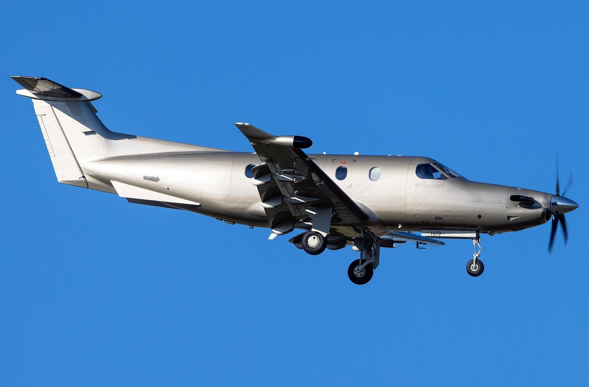 emptyLeg