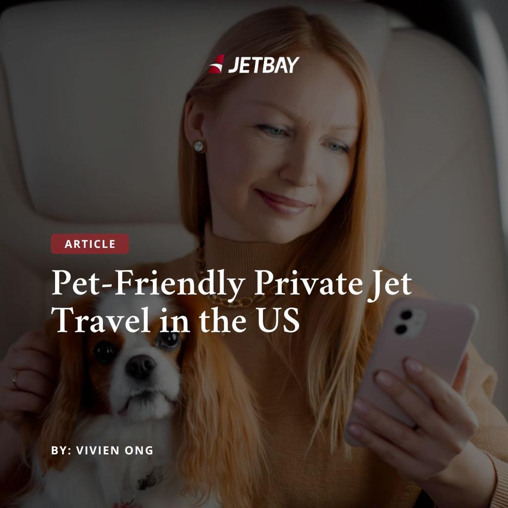 Pet-Friendly Private Jet Travel in the US