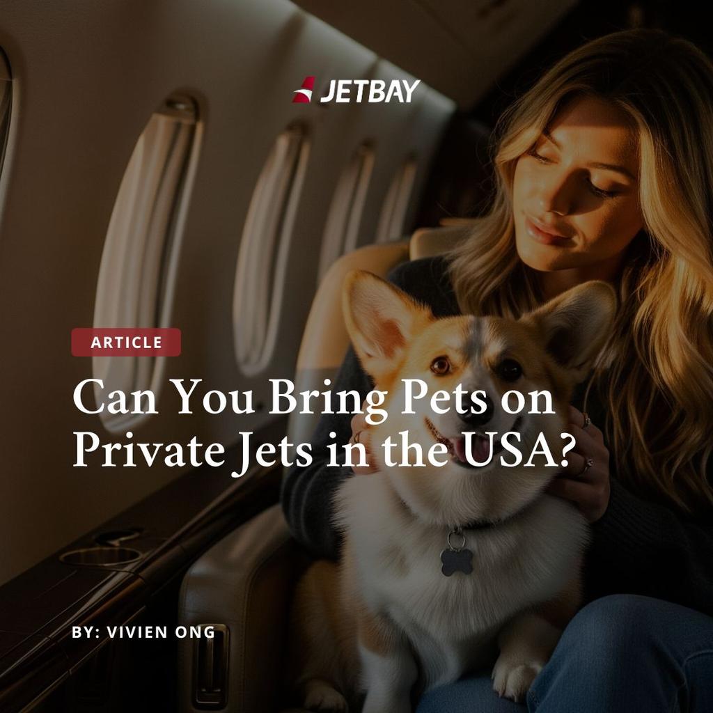 Can You Bring Pets on Private Jets in the USA?
