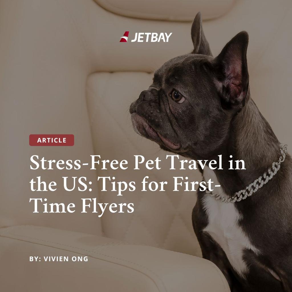 Stress-Free Pet Travel in the US: Tips for First-Time Flyers