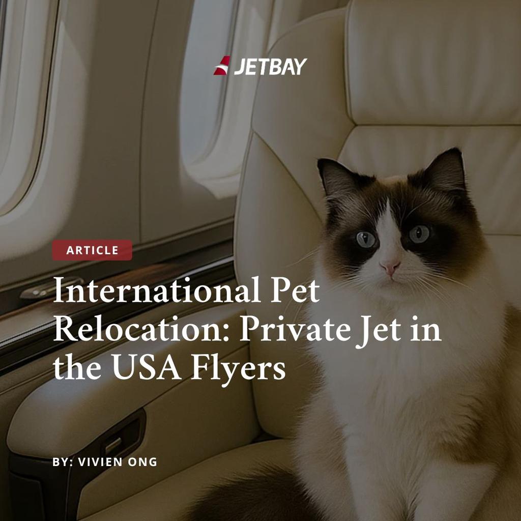 International Pet Relocation: Private Jet in the USA
