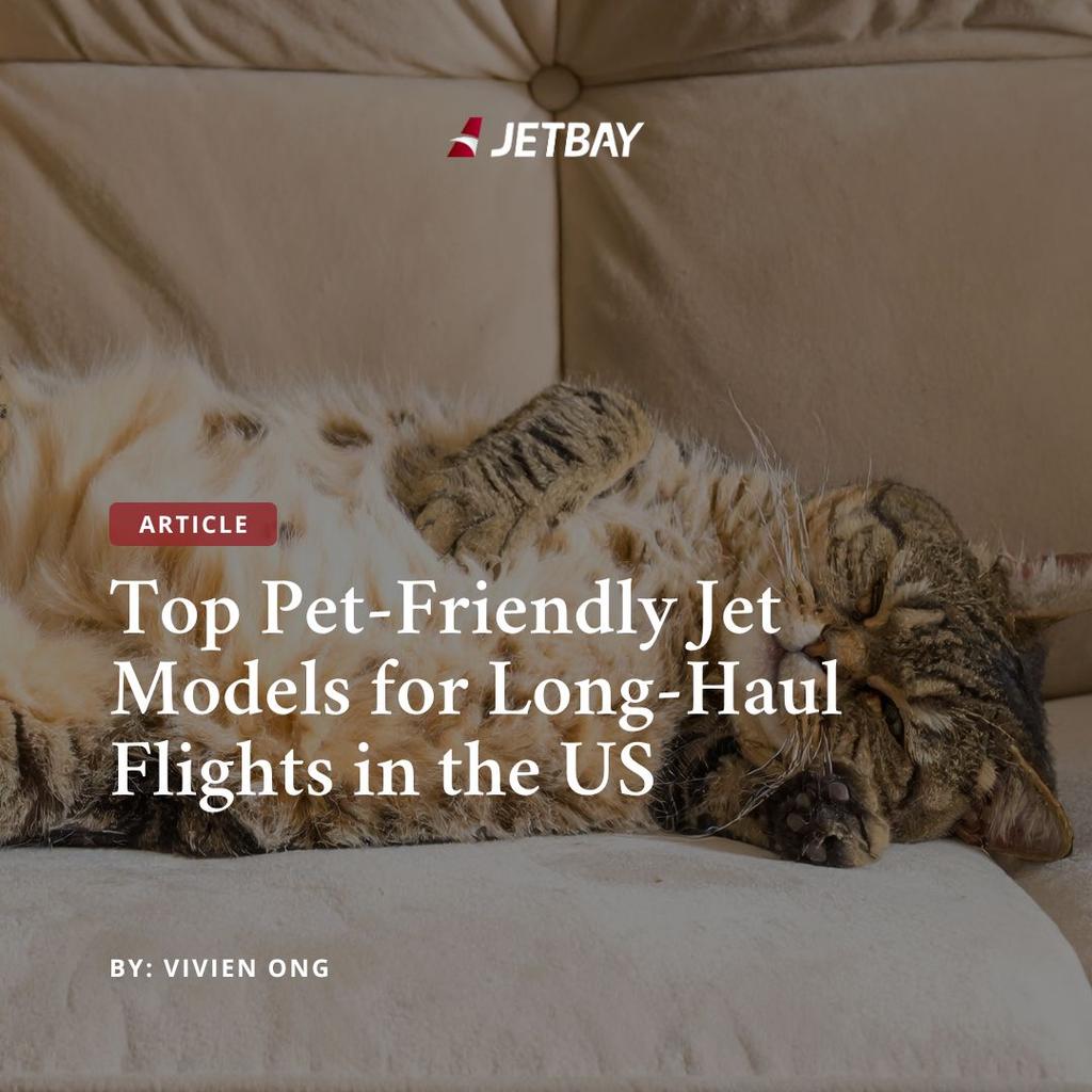 Top Pet-Friendly Jet Models for Long-Haul Flights in the US