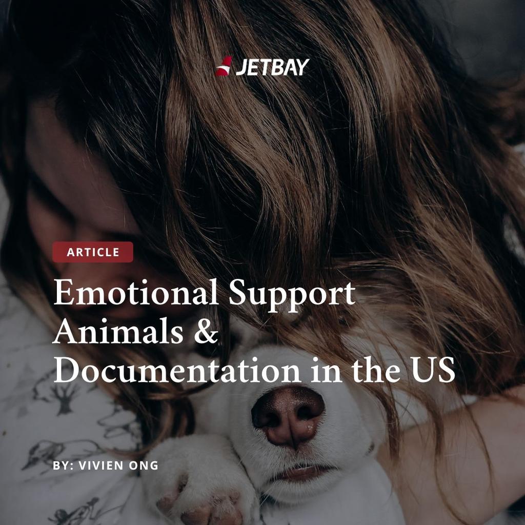Emotional Support Animals & Documentation in the US