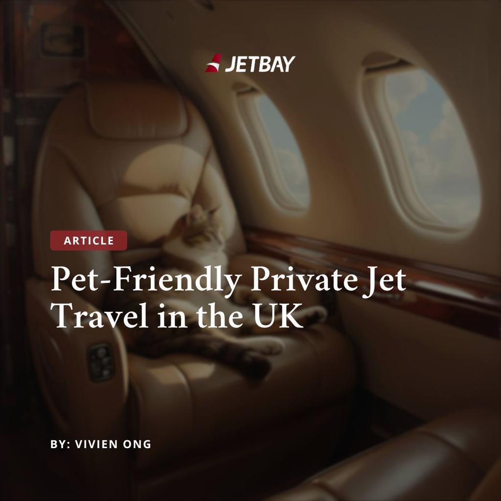 Pet-Friendly Private Jet Travel in the UK