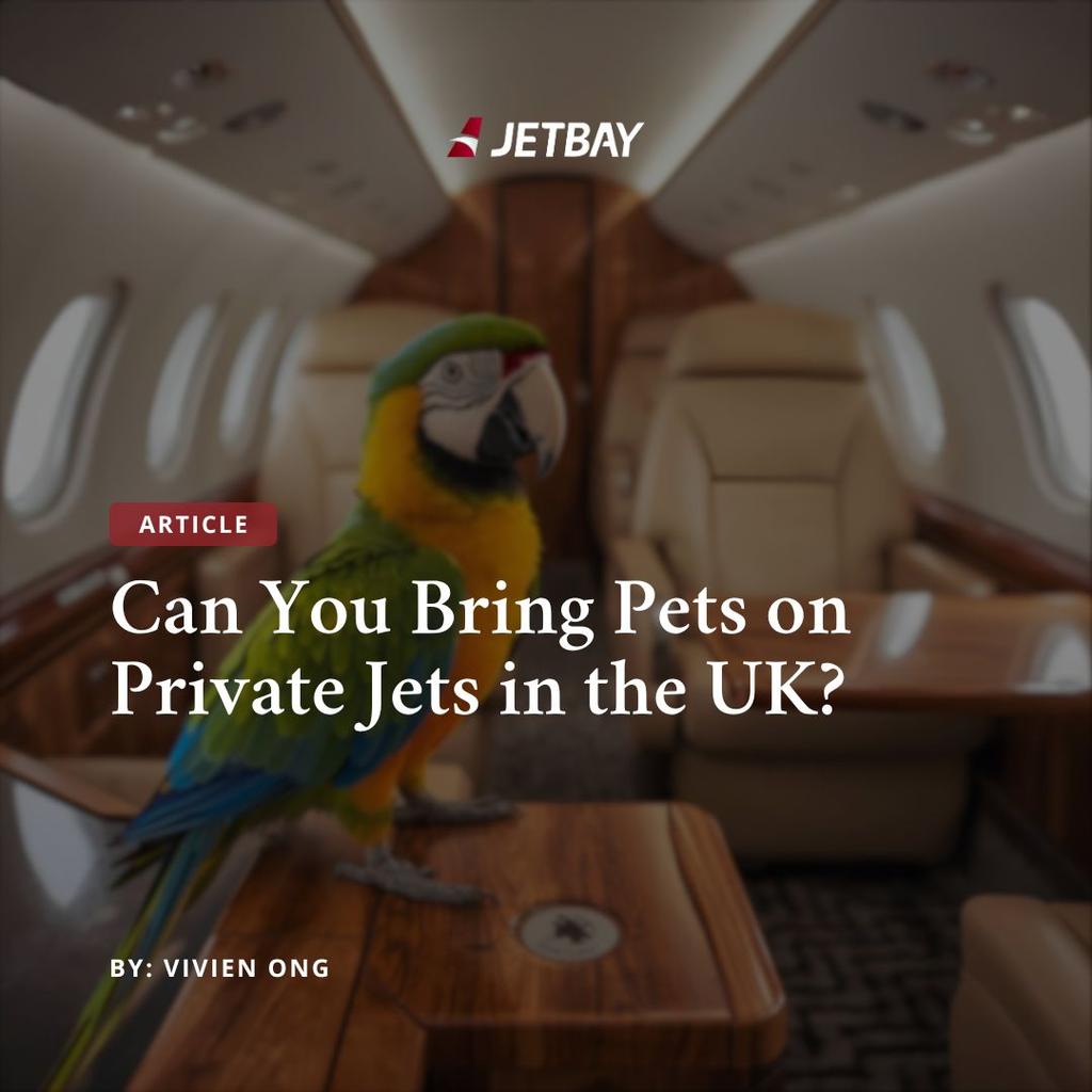 Can You Bring Pets on Private Jets in the UK?