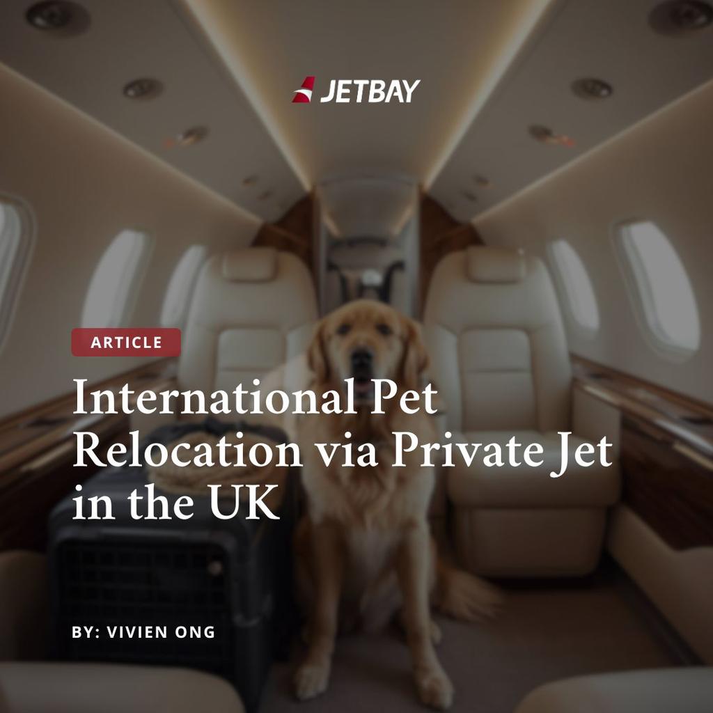 International Pet Relocation via Private Jet in the UK