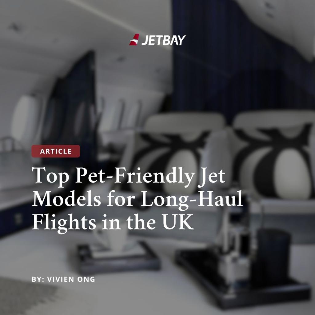 Top Pet-Friendly Jet Models for Long-Haul Flights in the UK