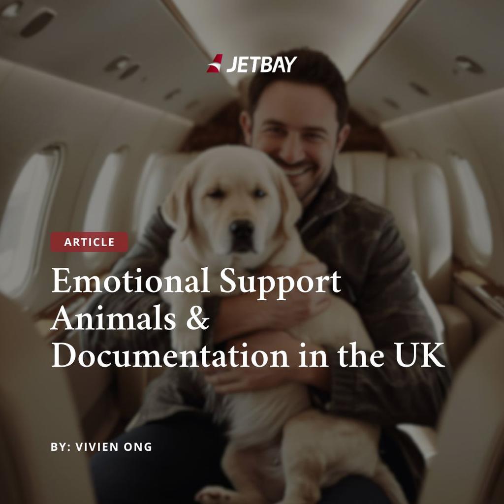 Emotional Support Animals & Documentation in the UK