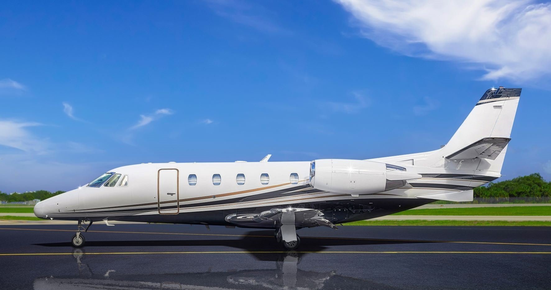 emptyLeg